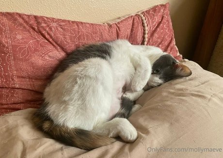 amateur bbw onlyfans hd img