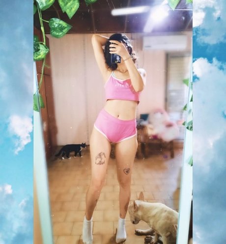 Space Bunny model perfect galleries