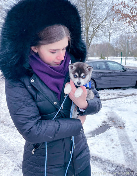 freefrost high quality star gallery