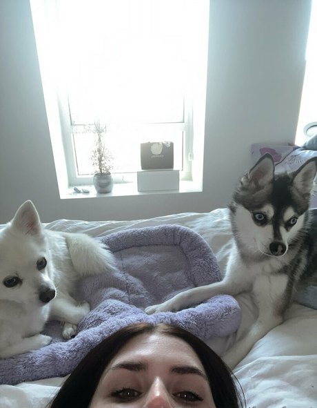 freefrost star porn pics