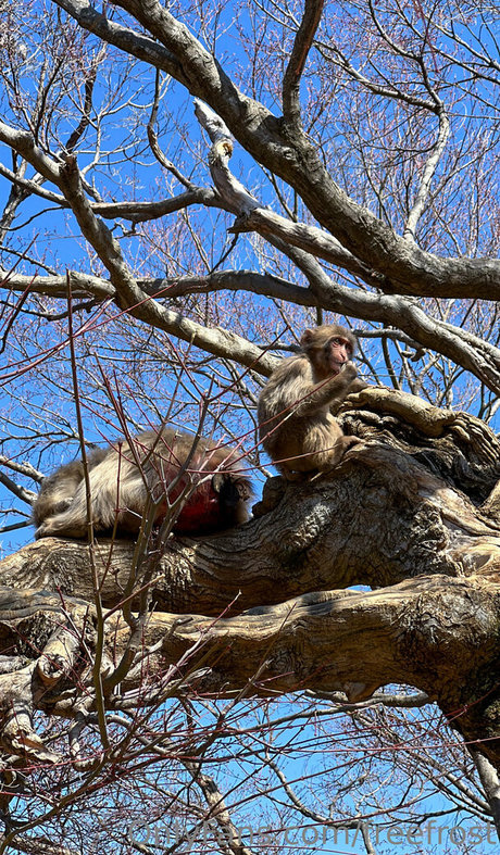 sensual onlyfans free xxx pic