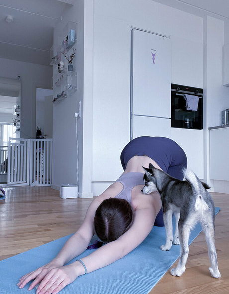 freefrost high quality star photo