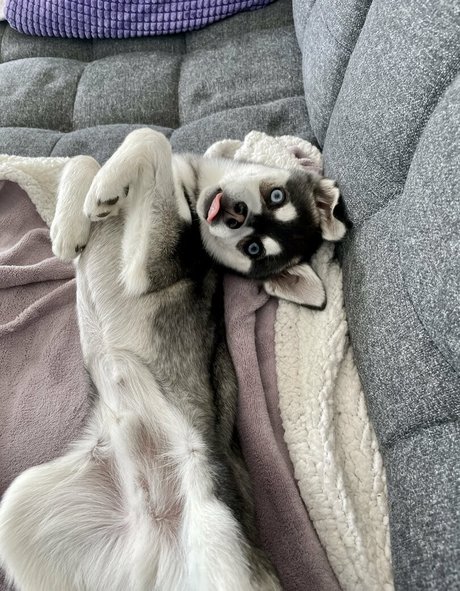 freefrost top profile image