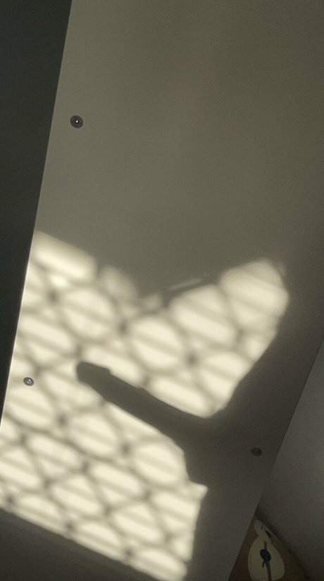 discord xxx onlyfans free porn pic