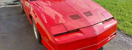 Shygal lilly star xxx gallery