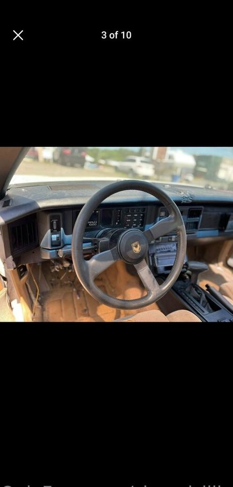 Shygal lilly model perfect image