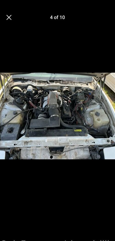 Shygal lilly xxx model photos