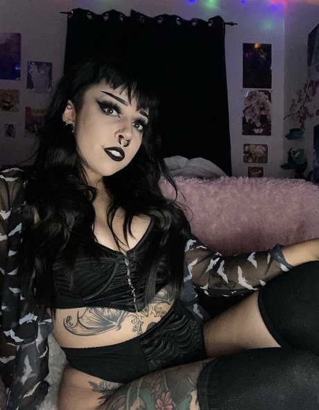 spookybeanfree star high quality photo