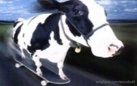 muslim onlyfans free naked pics