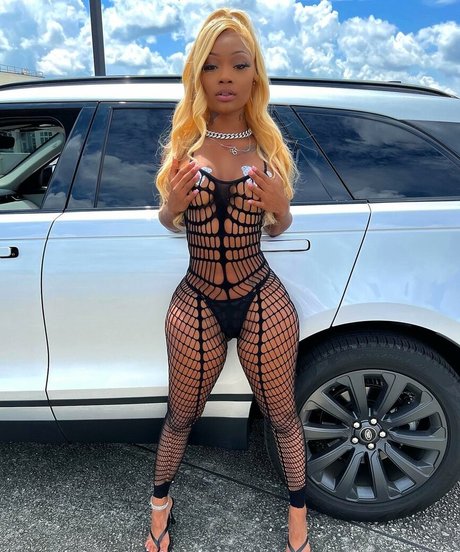 Daalischus star porn images