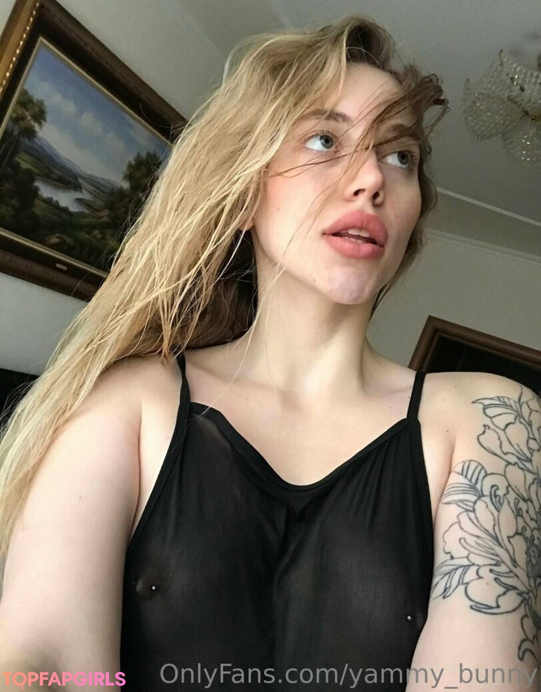 yammy bunny star high quality photos