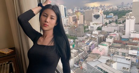 Cartooncandy top star photo