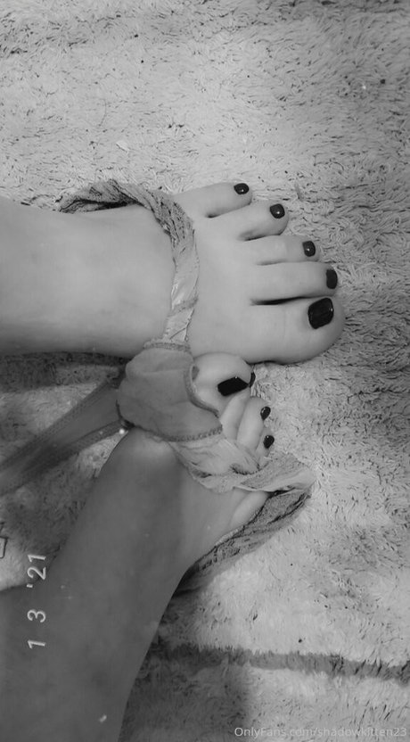 shadowkitten23 best pornstar pics