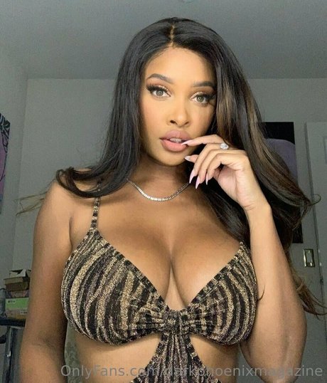 darkphoenixvip nude star pic