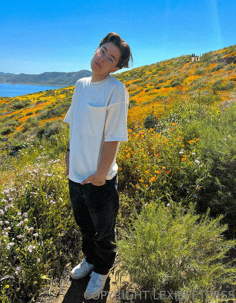 Lexiepeterss top pornstar pics