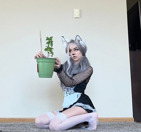 Awkspew roo2 star top picture