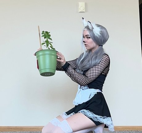 Awkspew roo2 pornstar perfect pics