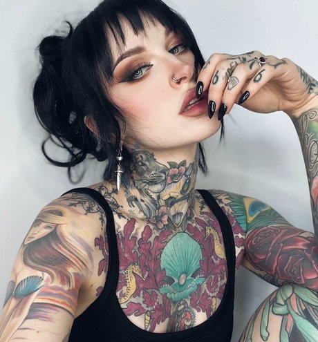 elporterofficial star high quality picture