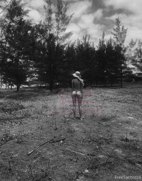 freesachorra model top picture