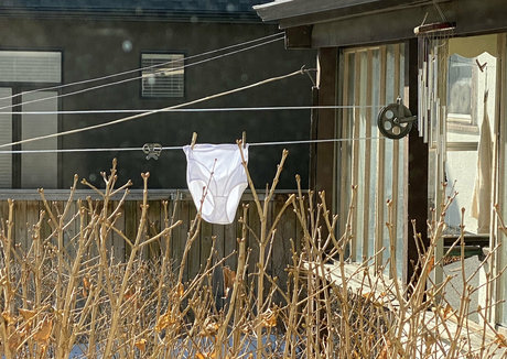 lesbian anal strapon onlyfans free nude photo