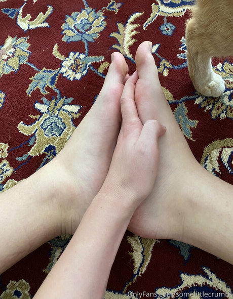 somelittlecrumbs high quality star photo