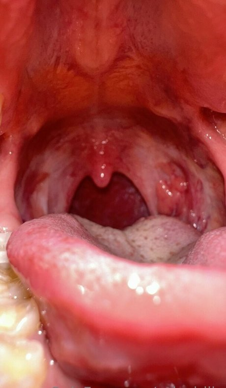 male porn star onlyfans porno archive