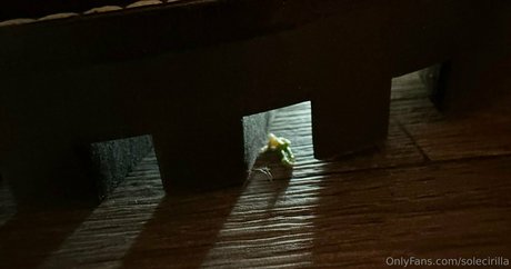 amateur shemale onlyfans sexy nudes picture