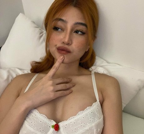 Ninquinzonn star free archive