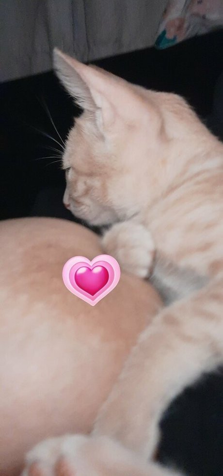 Jadeackerman model nude images