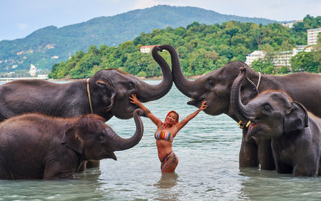 macy nihongo high quality model pictures