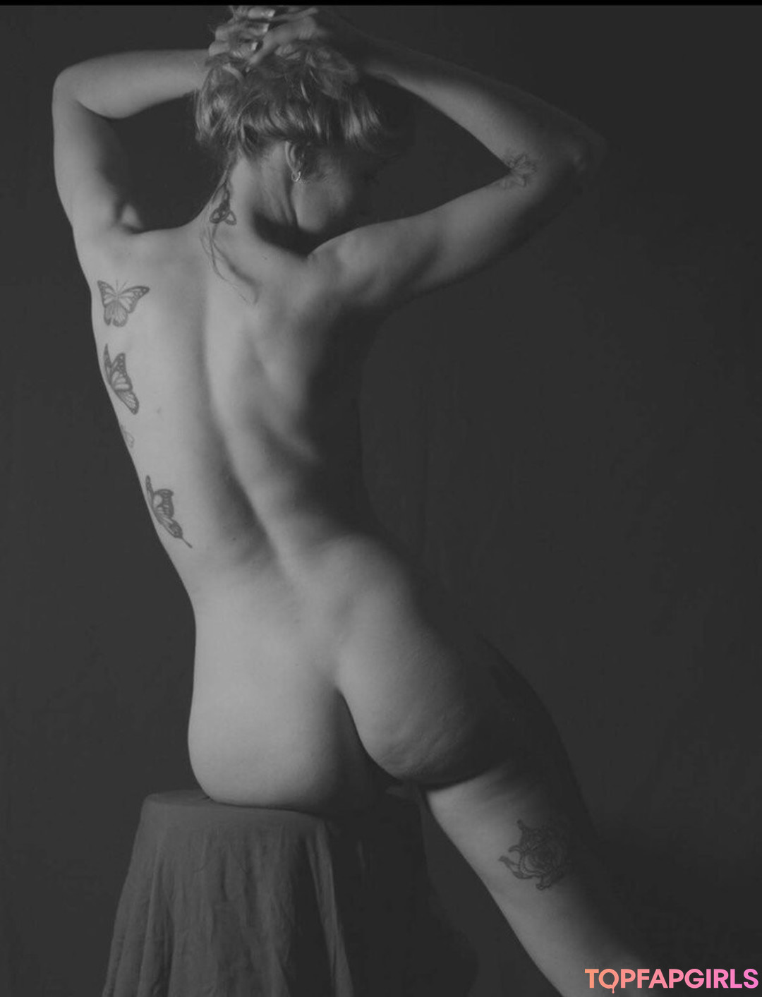 Cassidoria nice model image