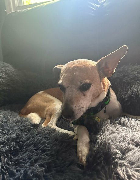 blonde anal onlyfans hot sex img