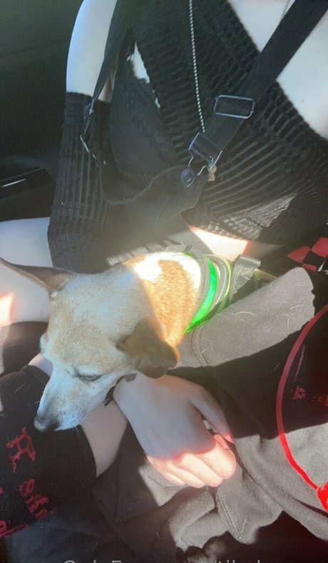 beautiful big boobs onlyfans sexy nudes image