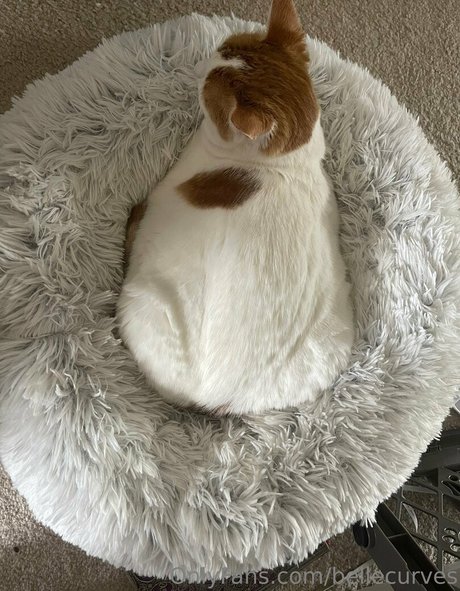 black twink onlyfans nude archive