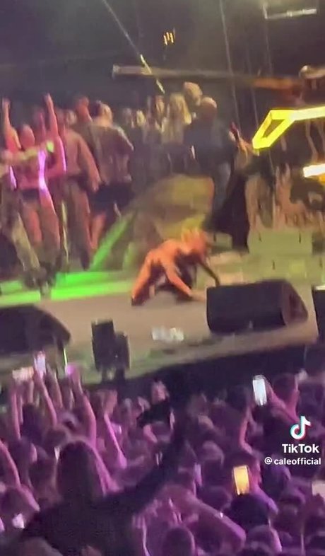 Teodora Dzehverovic star porn image