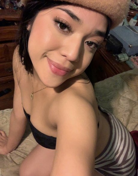 vashwty star high quality picture