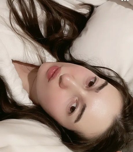 Sjeverna Hrvatska art star photo