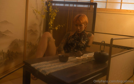 bigcatmia pornstar xxx galleries