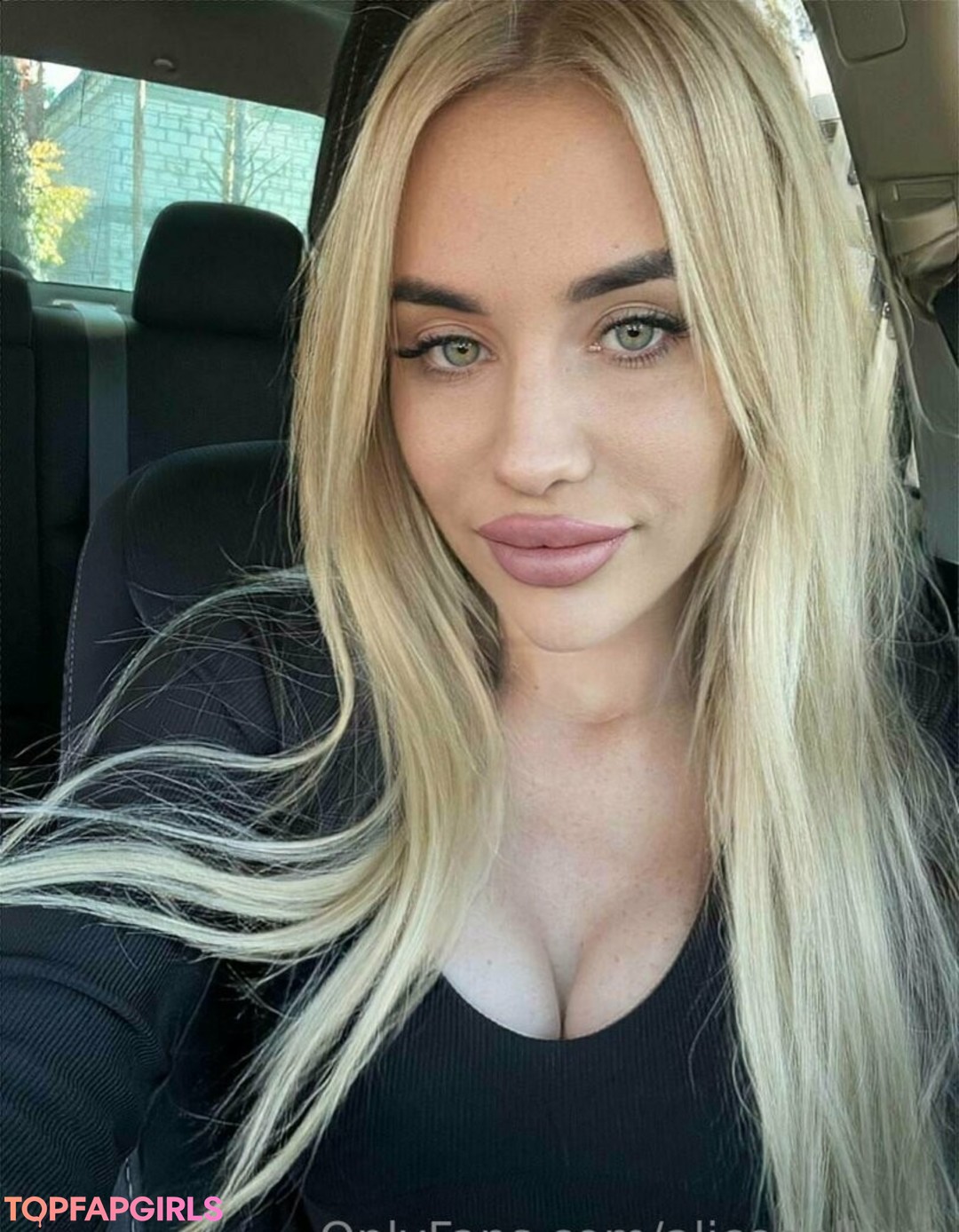 alicedollyua star galleries