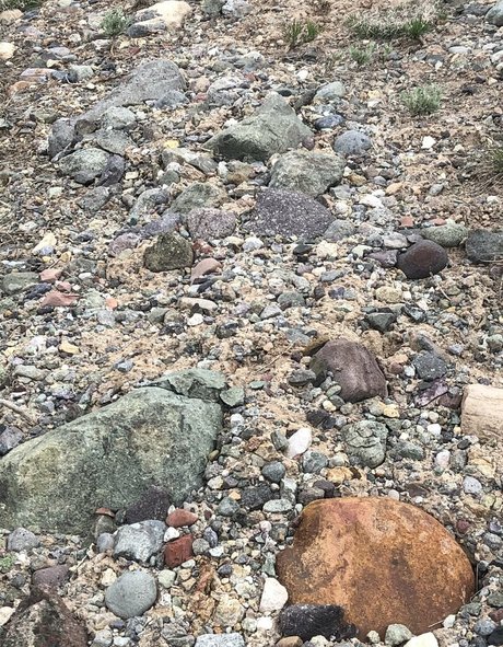 bunny nurse onlyfans free xxx pics