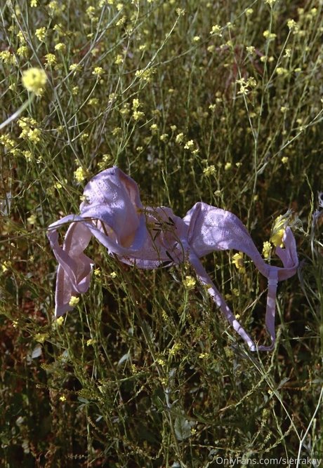 black female onlyfans art nude pics