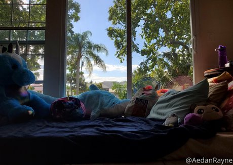 aedanraynevip star erotic image