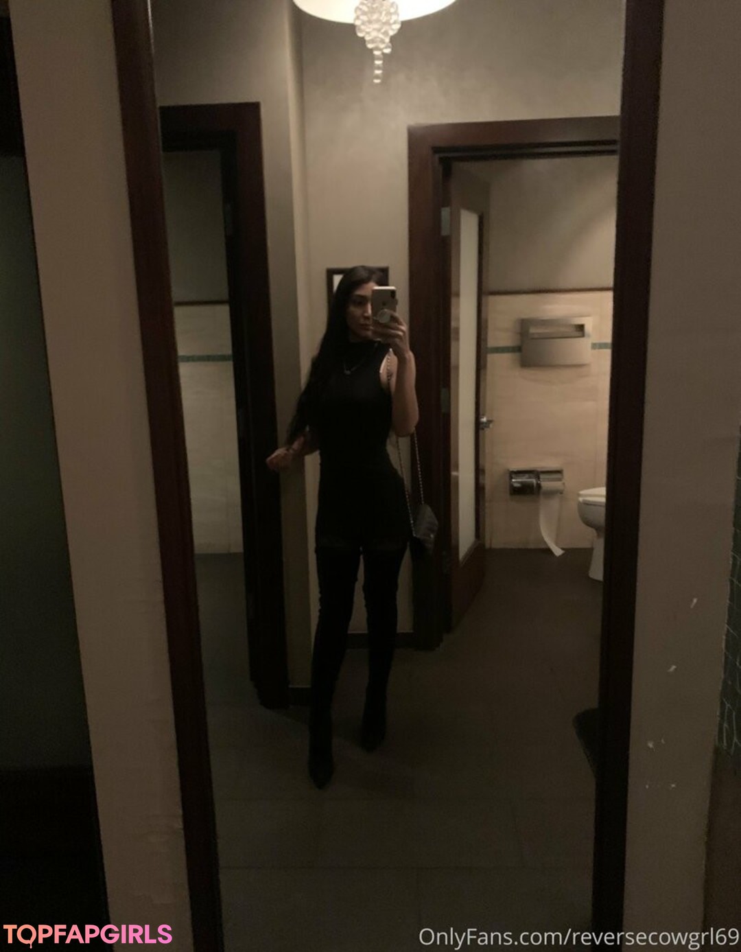 reversecowgrl69 art pornstar pic