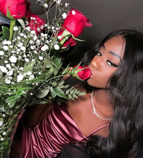 Luhmulaa hd star pictures