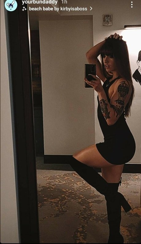 bundaddy star archive