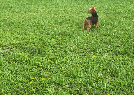 cindymoon7 model erotic img