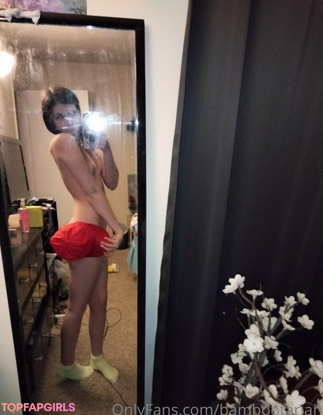 pandavision erotic pornstar gallery