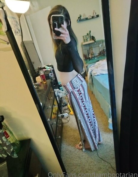 pandavision profile image