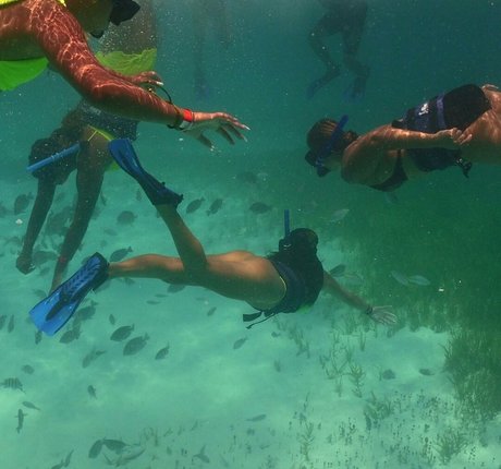 alex papadonker nice star img