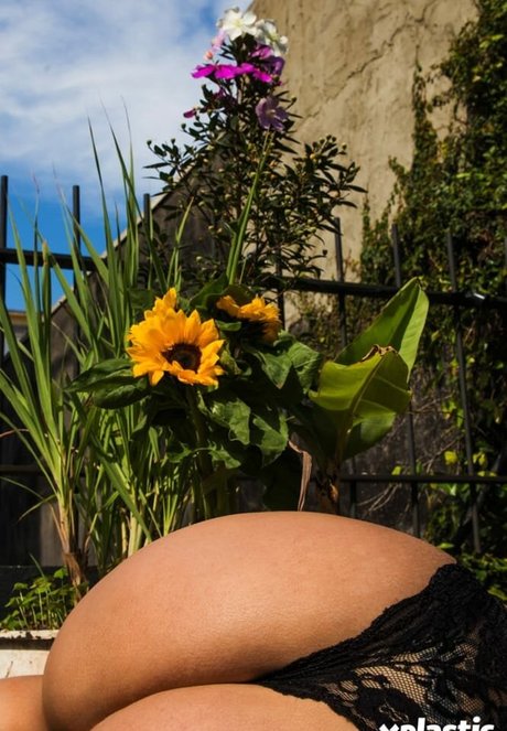 Debora Porto top profile image